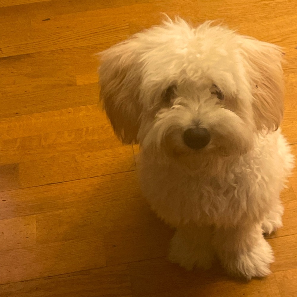 Meet your Posher, Stacey